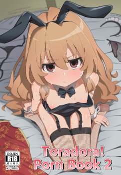 Toradora! no Erohon 2